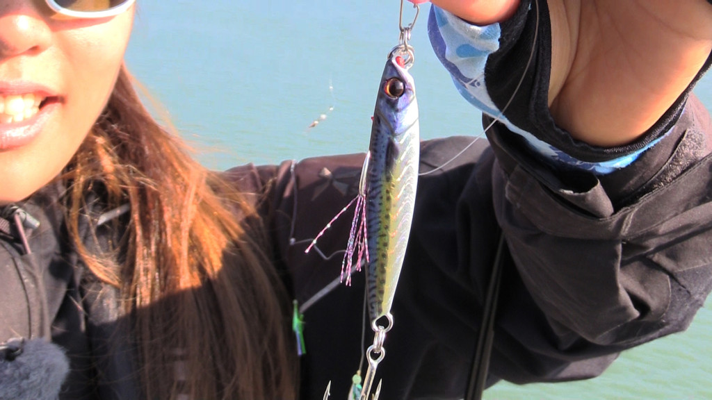 ショアジギ道場ｐ 次世代カラーのジグパラ登場 ライブベイトカラー 公開 釣りの総合動画サイト Vish ヴィッシュ