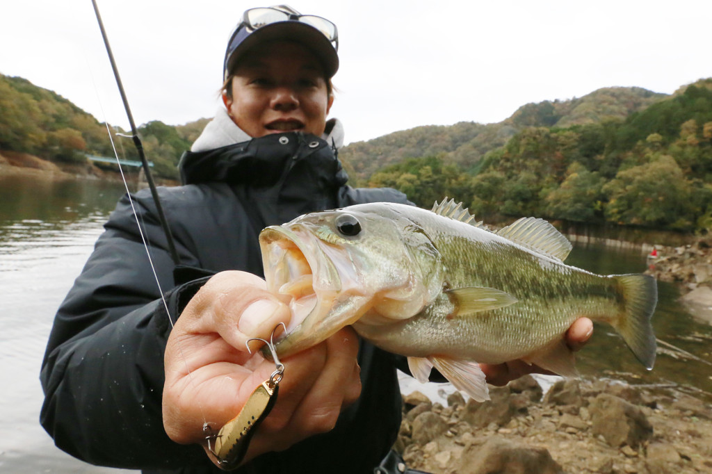 たくみづけvol 8 メタルジグ三種の神器のベストセッティング 釣りの総合動画サイト Vish ヴィッシュ