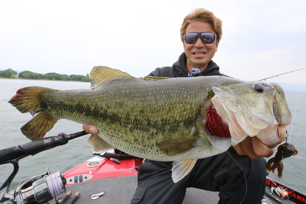 釣りまん　オガサカ　オリジナルスプリングジャンパー オーナー スプリングサカサ 5号 レギュラーパック6本入 16494【ゆう